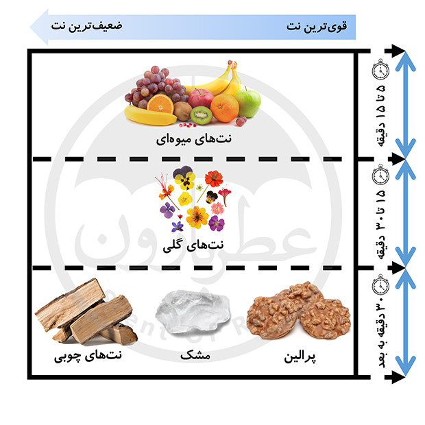 خوشبو کننده بدن