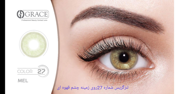 لنز گریس شماره 27 روی زمینه چشم قهوه ای