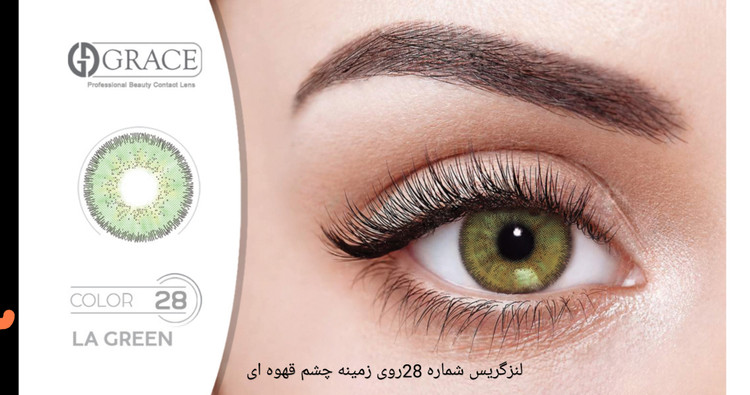 لنز گریس 28 بر روی زمینه چشم قهوه ای
