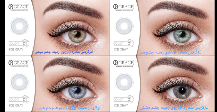 لنزگریس بر روی زمینه چشم میشی، سبز،عسلی،مشکی(عکس رابزرگ کنید)