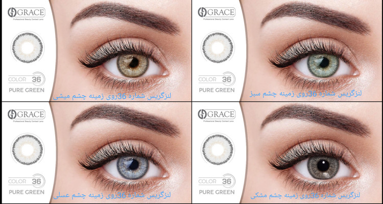 لنزگریس شماره 36روی زمینه چشم میشی،سبز،عسلی،مشکی