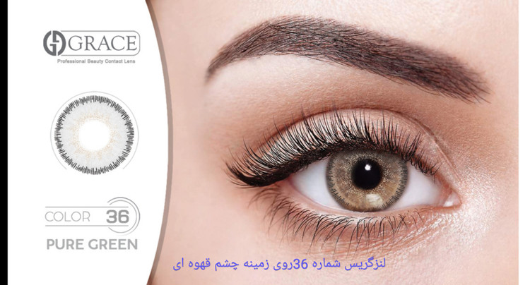 لنزگریس شماره 36روی زمینه چشم قهوه ای (عکس را بزرگ کنید)