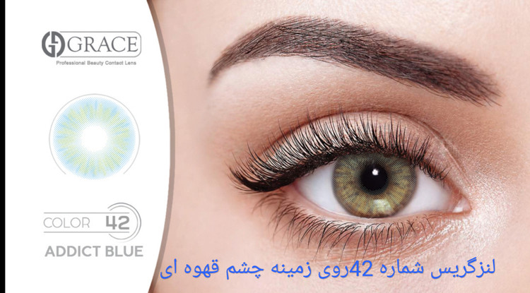 لنز گریس شماره 42 روی زمینه چشم قهوه ای (عکس را زوم کنید)