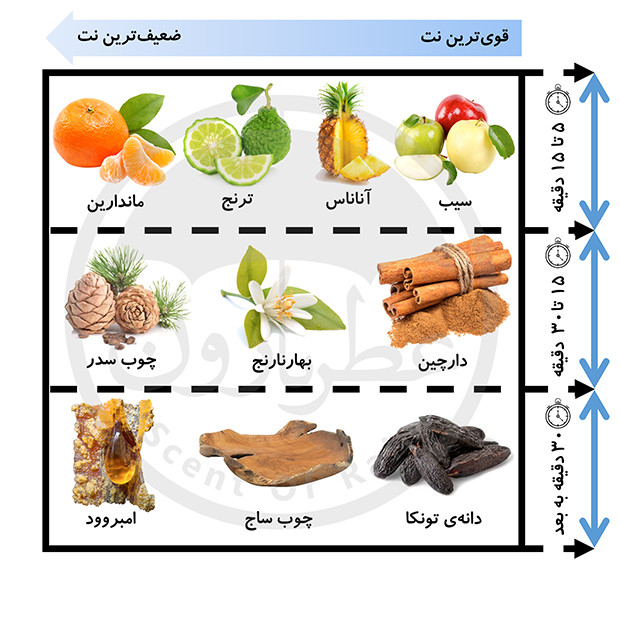 نت های بویایی