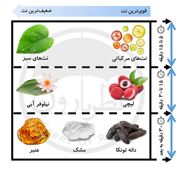 نت های بویایی