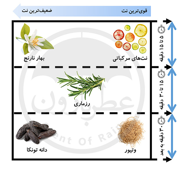 نت های بویایی