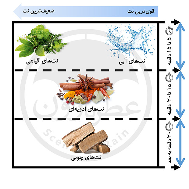 نت های بویایی