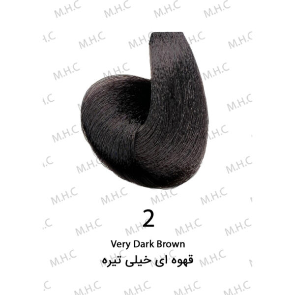 رنگ مو طبیعی شماره 2